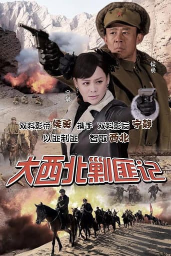 大西北剿匪记