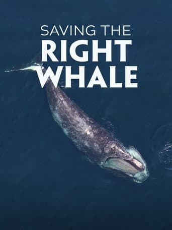 Saving the Right Whale