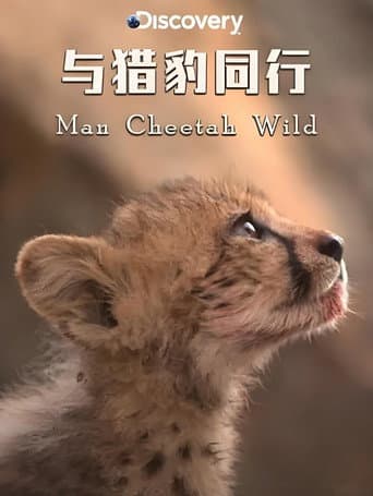 Man Cheetah Wild