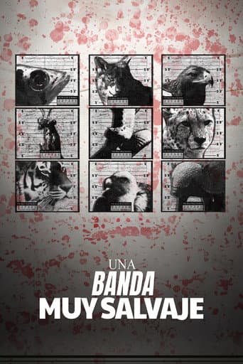 The Wild Wild Bunch