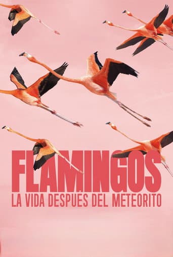 Flamingos: Life After the Meteorite