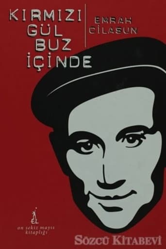 Kırmızı Gül Buz İçinde