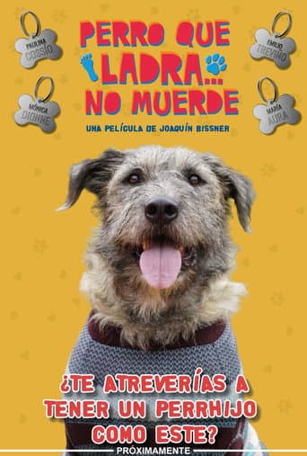 Perro Que Ladra... No Muerde