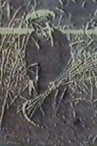 Angel of the Harvest