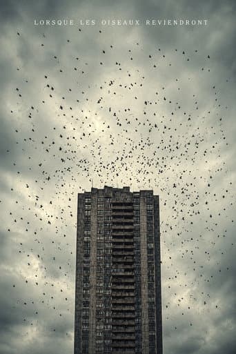 When The Birds Return