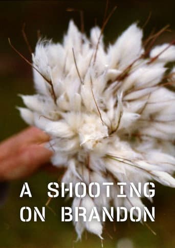A Shooting on Brandon