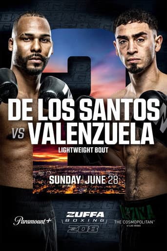 Zuffa Boxing 08