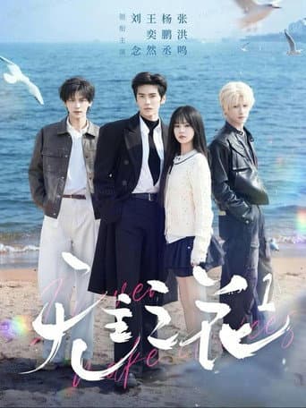 无主之花