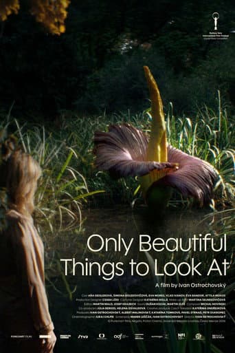 Only Beautiful Things to Look At