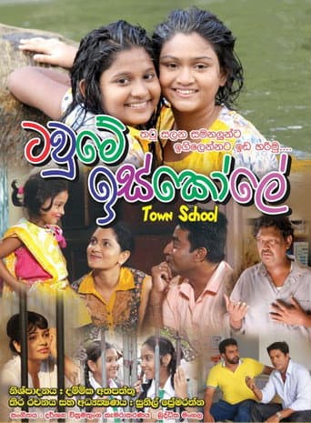 Town School