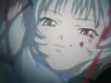 Hotaruko