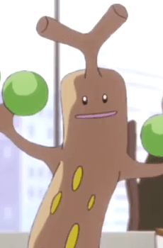 Usokkie