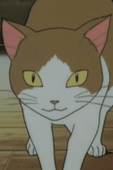 Neko no Miko