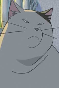 Muta