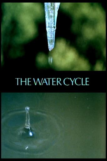 The Water Cycle