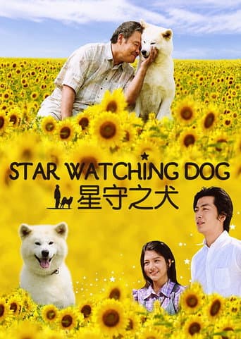 Star Watching Dog