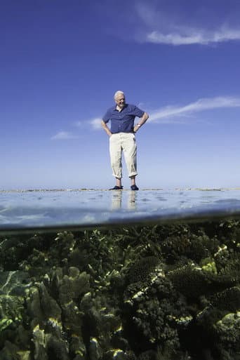 Reef Diaries