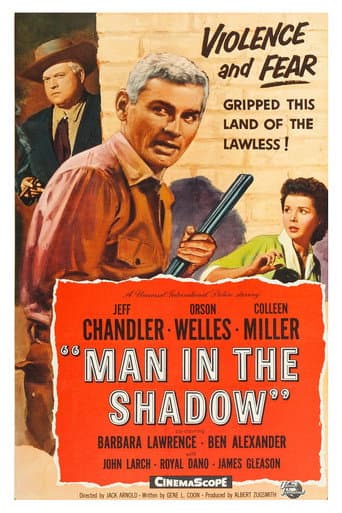 Man in the Shadow