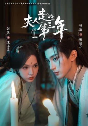 夫人走的第三年