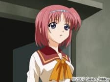 Shizuku Miyamoto